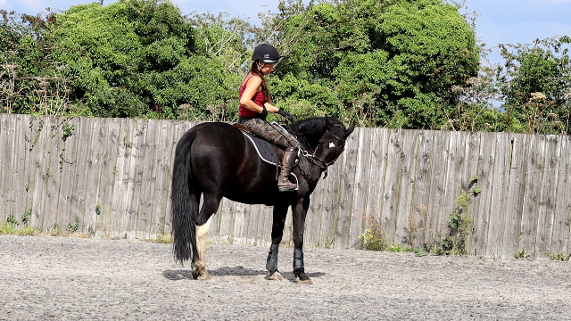 Jet's first ride - Pure Horsemanship by Glea