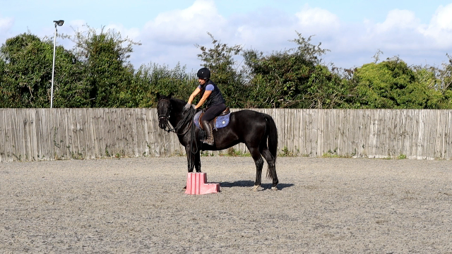standing still at the mounting block - Pure horsemanship by Glea