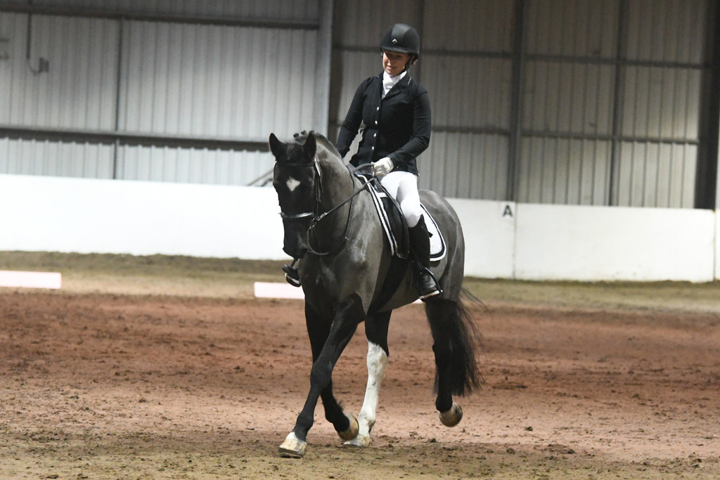 Jet dressage - Pure Horsemanship by Glea