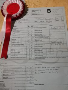 Jet dressage test - Pure Horsemanship by Glea